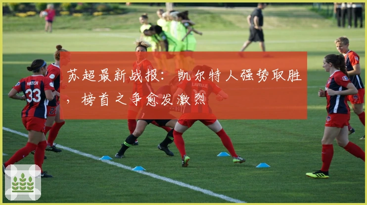 苏超最新战报：凯尔特人强势取胜，榜首之争愈发激烈